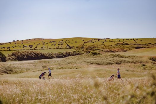 Buzza Vean, a self-catering property in Rock, North Cornwall with large garden and swimming pool