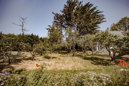 Buzza Vean, a self-catering property in Rock, North Cornwall with large garden and swimming pool