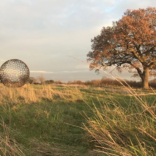 Porthilly Sculpture Garden by Jill Clarke
