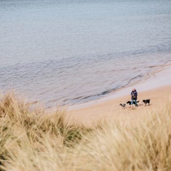 Dog walker on Rock Beach