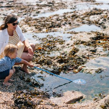 Rockpooling at Greenaway Beach