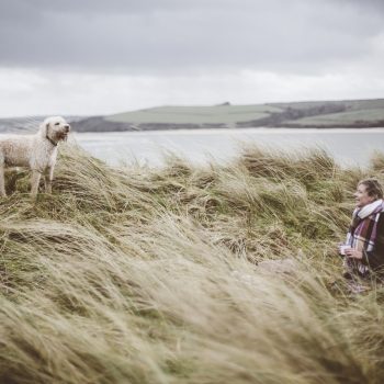 Dog in the sand dunes above Daymer Bay