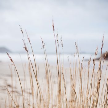 A winter scene at Polzeath Beach