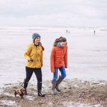 Dog walkers on Polzeath Beach